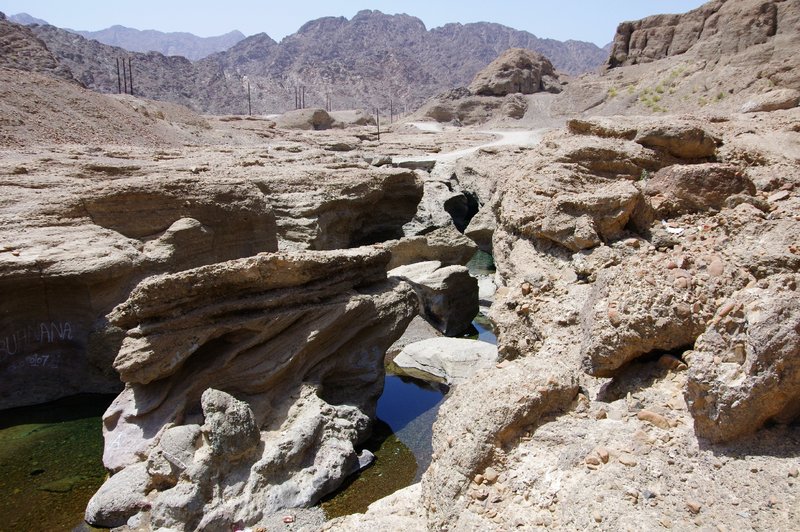 UAE0449.jpg