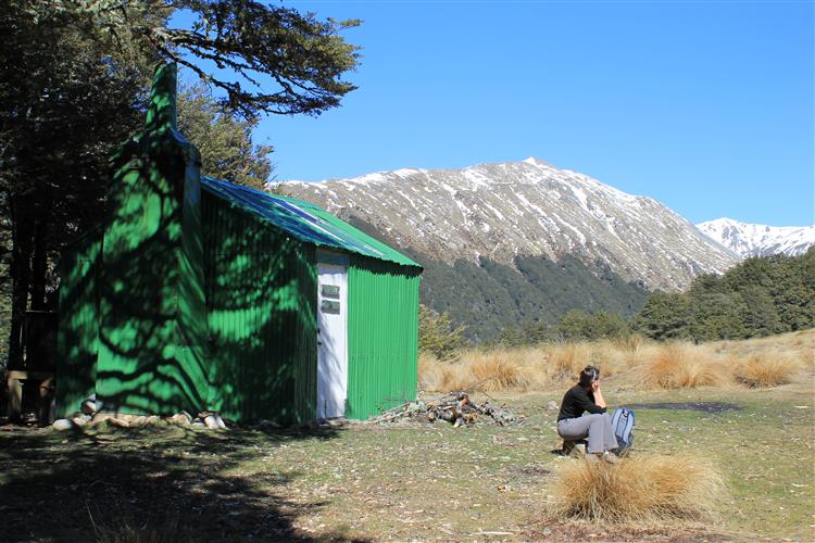 New Zealand 105 (Custom).JPG