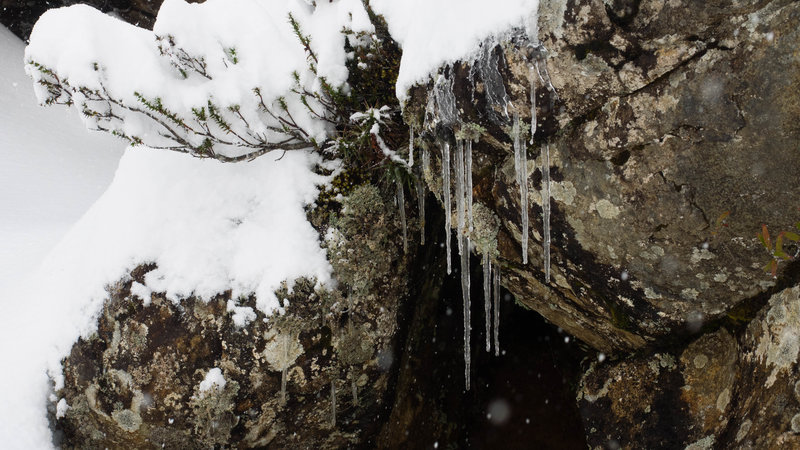 Dolerite Icicles.jpg