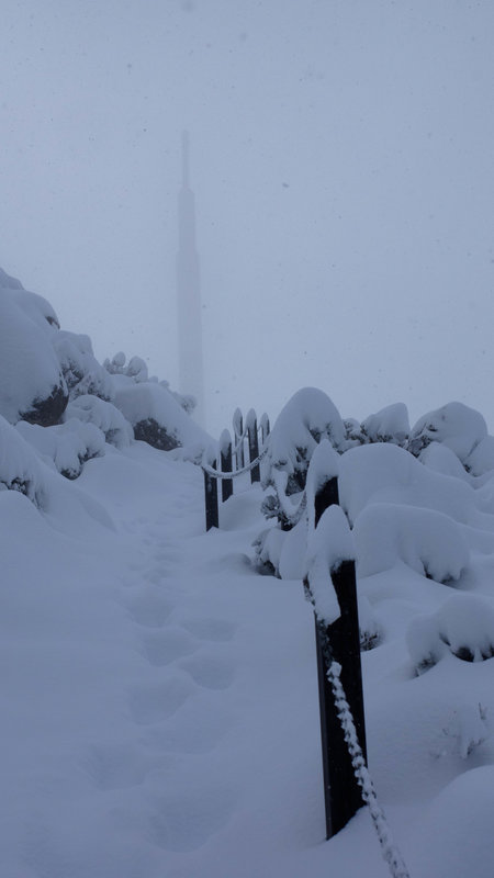 Tower in the mist.jpg