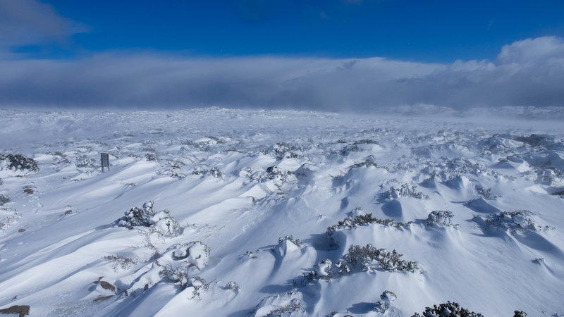 The frozen summit plateau of kunanyi-Mt Wellington.jpg