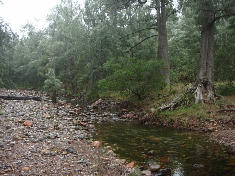 P3220575 (Medium).JPG