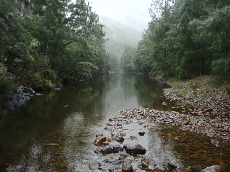P3220577 (Medium).JPG