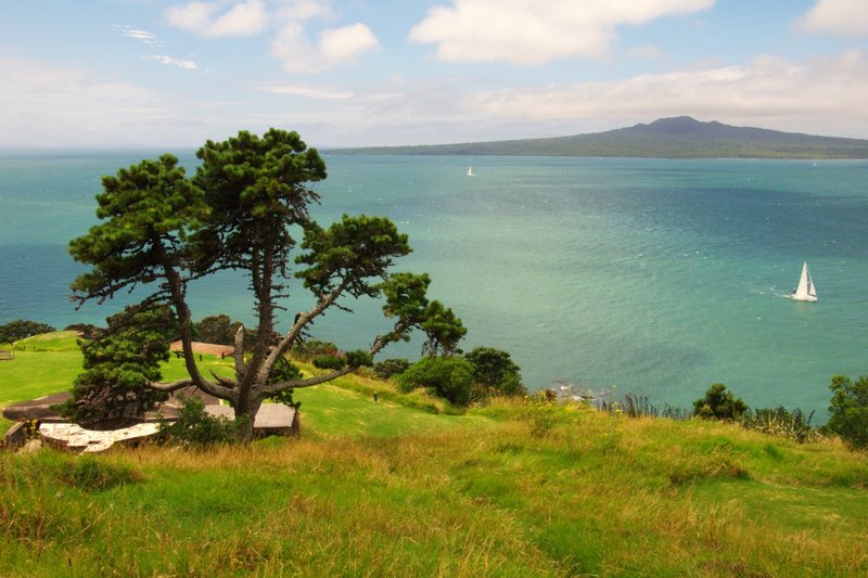 nz0849.jpg
