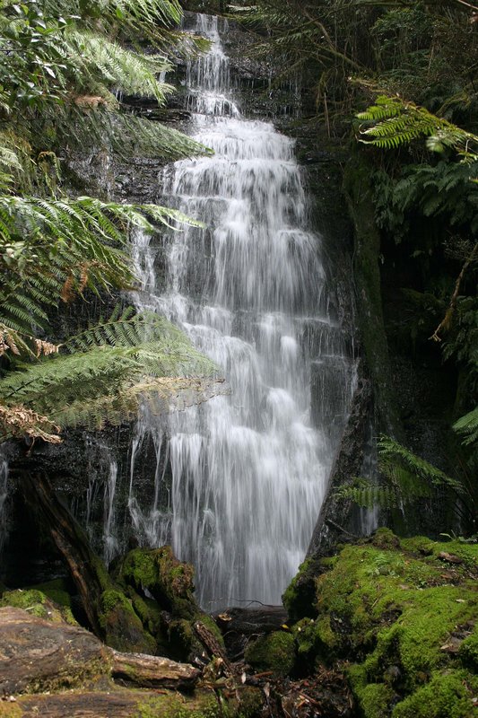 IMG_4834 falls med.jpg