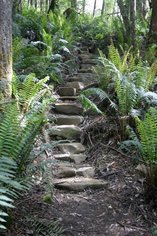 IMG_4829 stone steps med.jpg