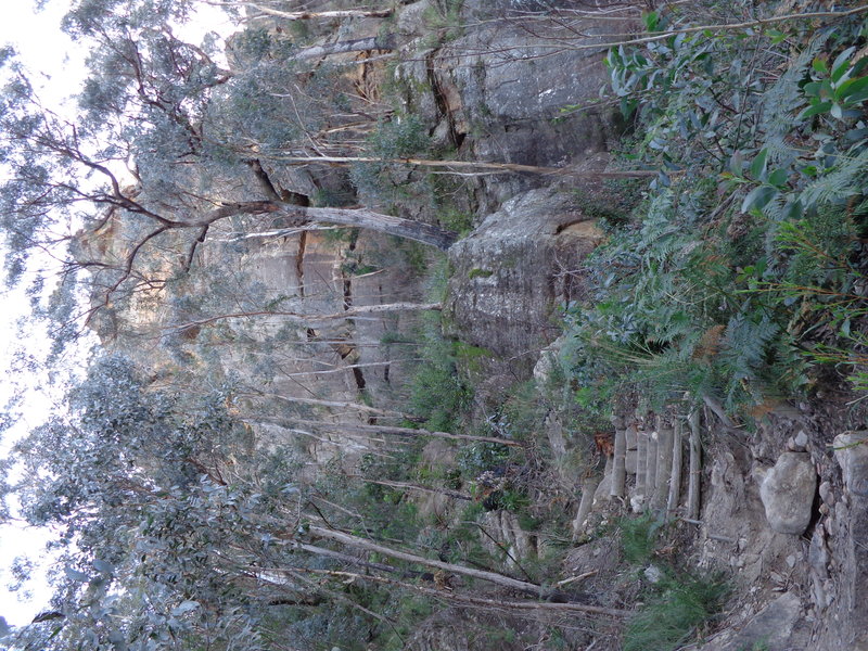 DSC02979.JPG