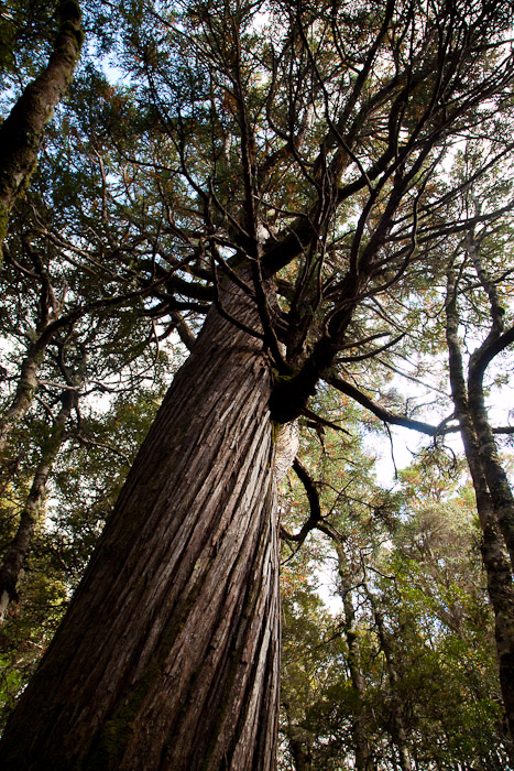 WhatTree-5014.jpg