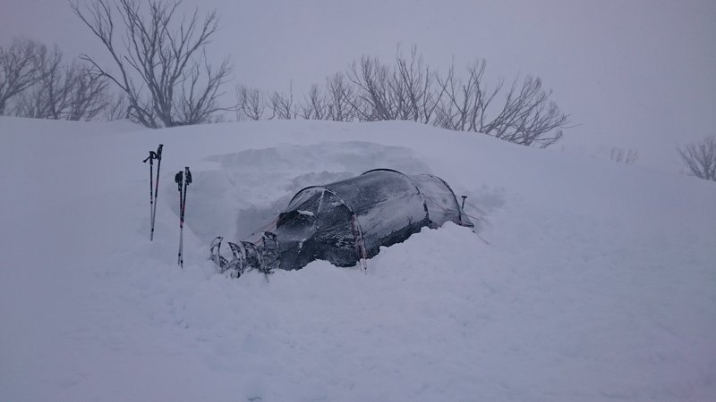 DSC_0206.JPG