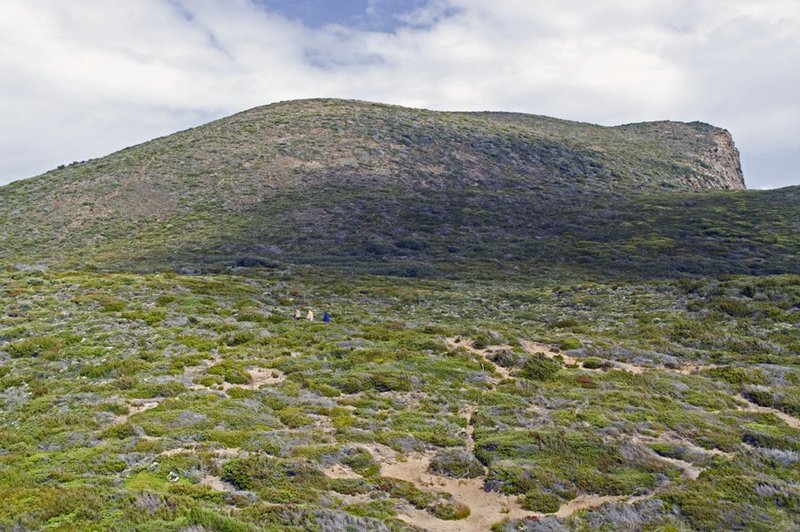 0902MtBrown.jpg