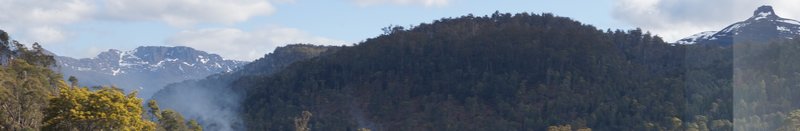 DSC01364 (2).JPG