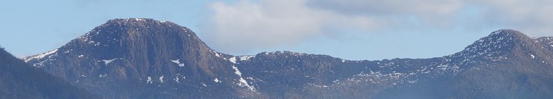 DSC01379 (2).JPG