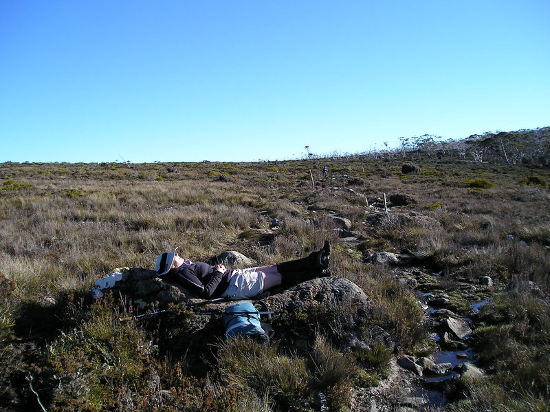 P1010014.JPG