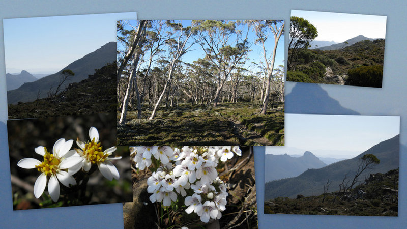 Lake Belton Collage.jpg