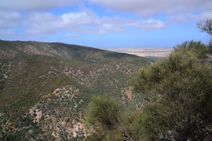 DSC_0299.JPG