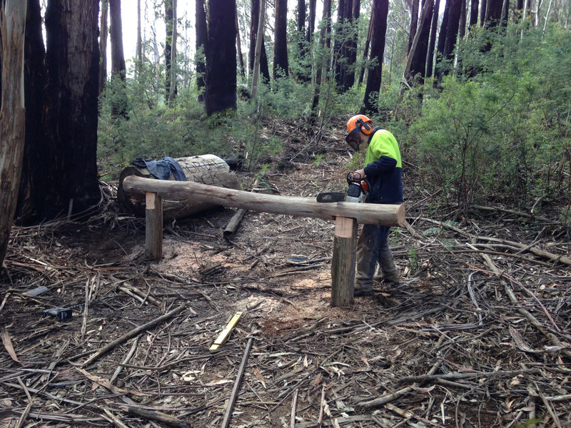 Barrier construction2.jpg