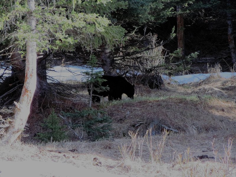 IMG_0011 resized.jpg