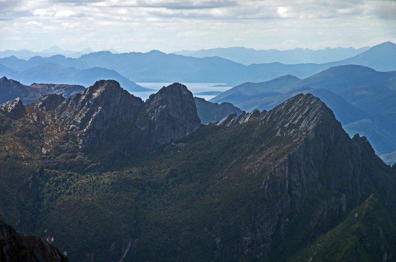9953StuartSaddle.jpg