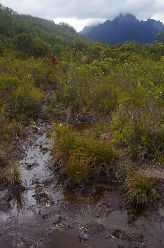 0055Mud.jpg