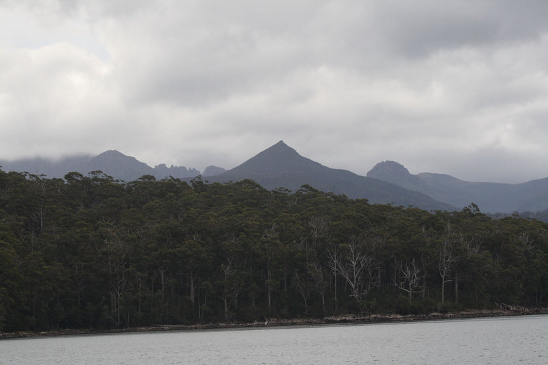 Mts from Cockle Creek.jpg