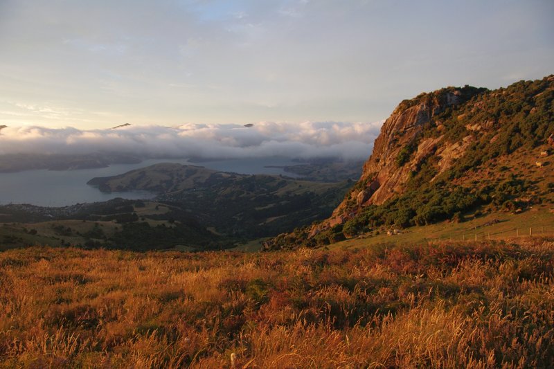 nz3759.jpg