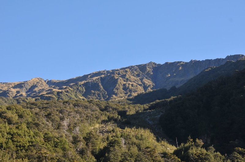 DSC_5326.jpg