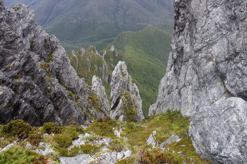 Top of Geeves Gully.jpg