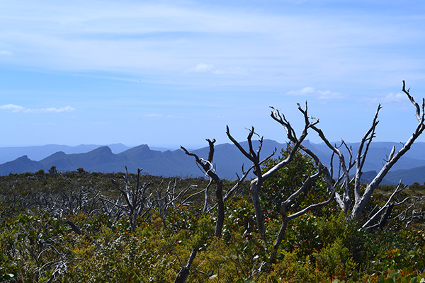 DSC_0101.JPG