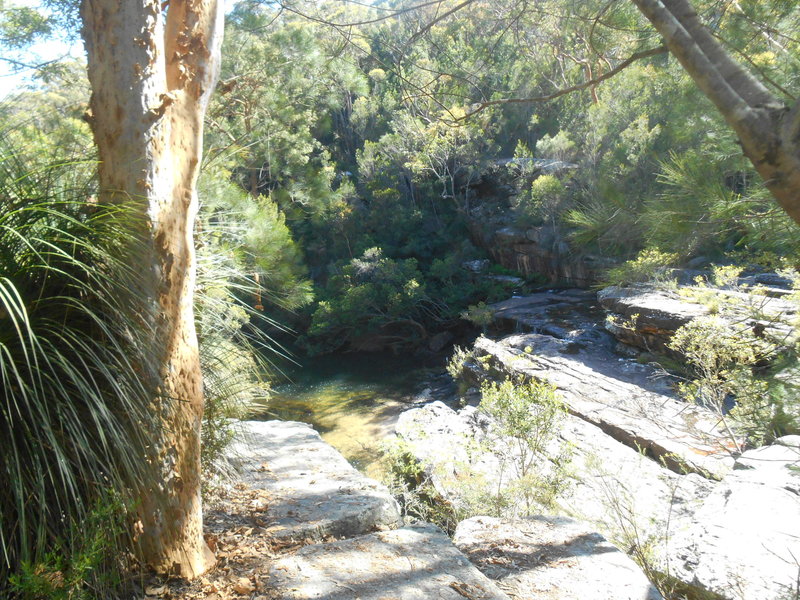 DSCN4748.JPG