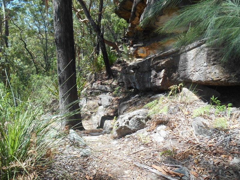 DSCN4791.JPG