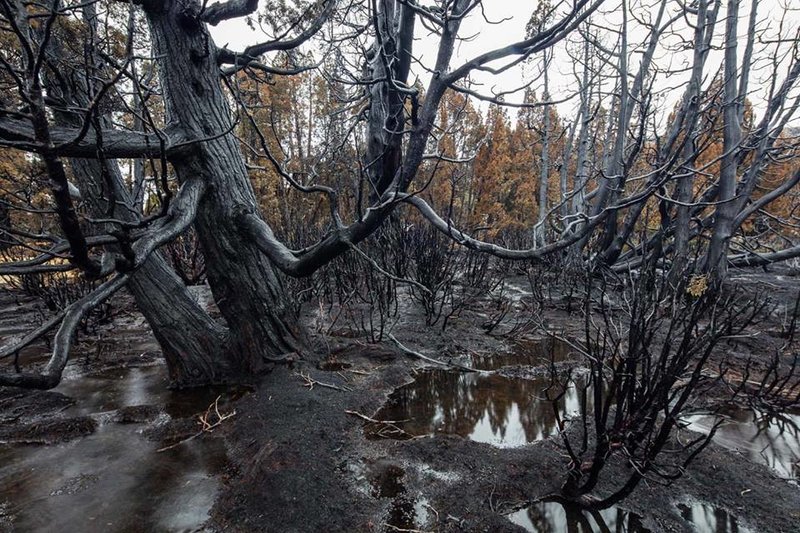RB-Central Plateau Fire1.jpg