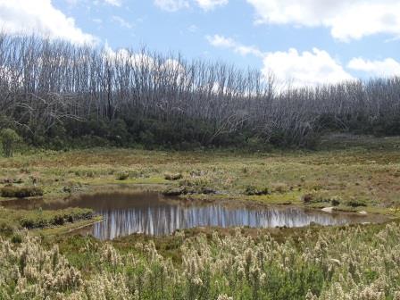 1 - Lake Moutnain Plateau.jpg