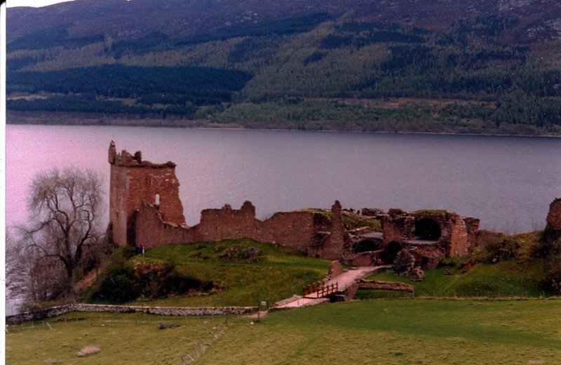 IntGamePhoto1.jpg