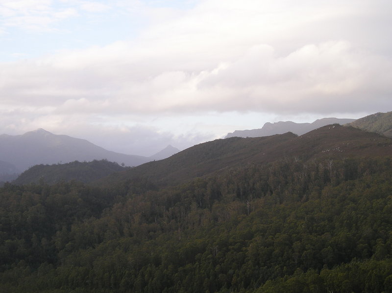 P1010541.JPG