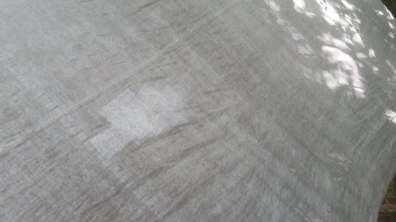 Tarp 2 small.jpg