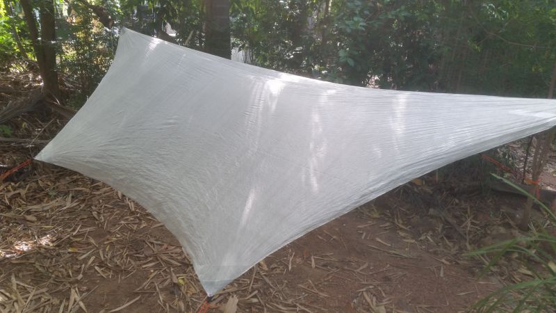 Tarp 3 small.jpg