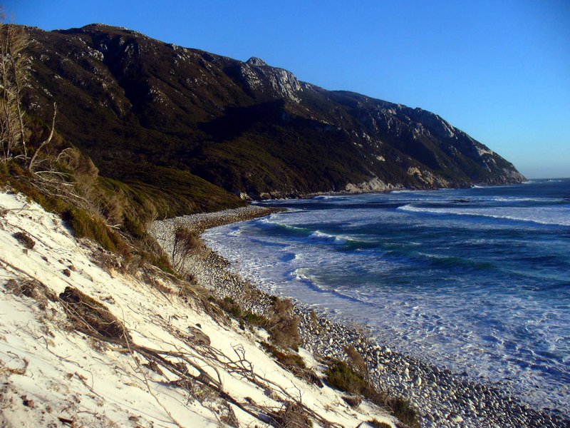 Beach.jpg