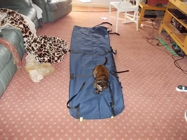 DSCN0792.JPG