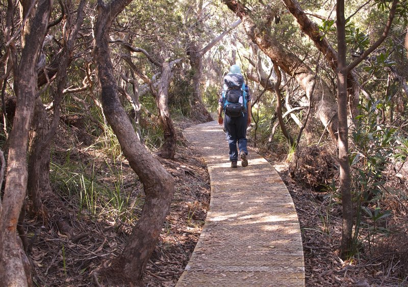 Day 2 - 6 Boardwalk.jpg