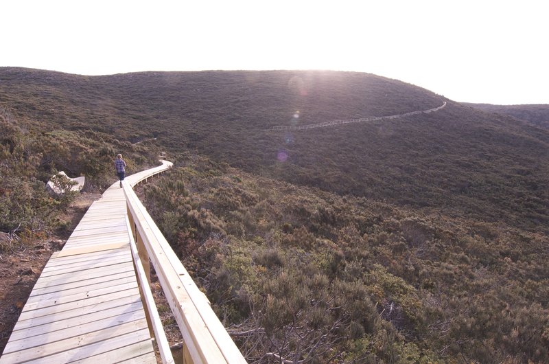 Day 2 - 15 - the Great Boardwalk of Tasmania.jpg