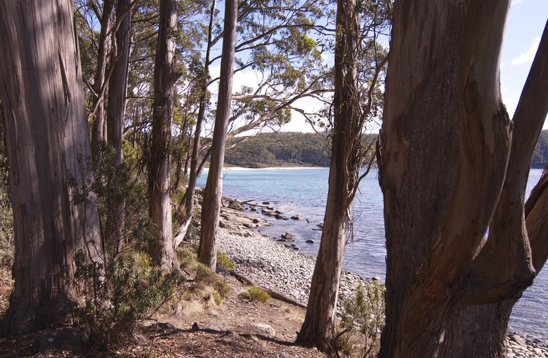 Day 4 - 11 Fortescue Bay.jpg