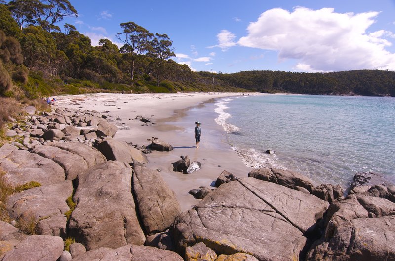 Day 4 - 12 Beach at Fortescue Bay.jpg