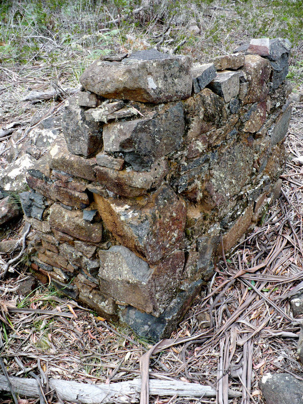P1090095.JPG