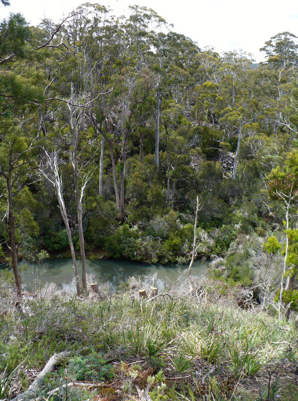 Long Marsh Dam site.jpg
