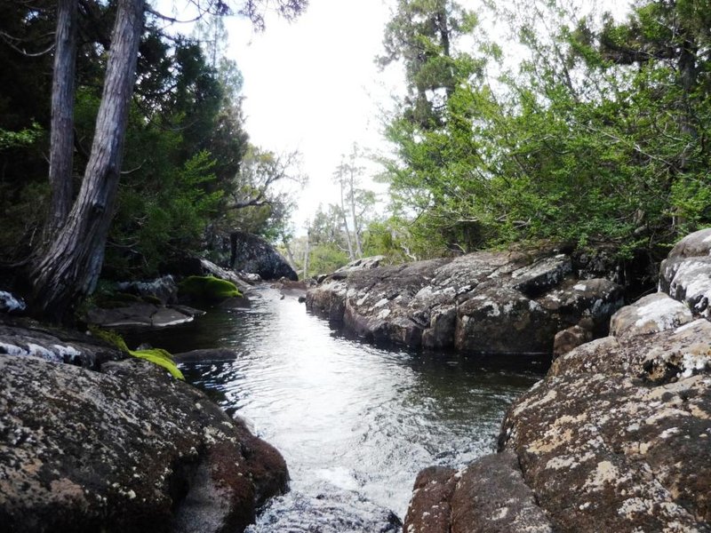 Creek (1).jpg