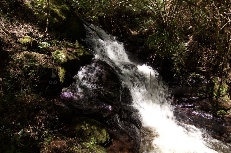 South Chapple T3.jpg