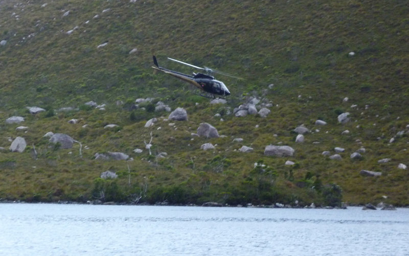 chopper1.jpg