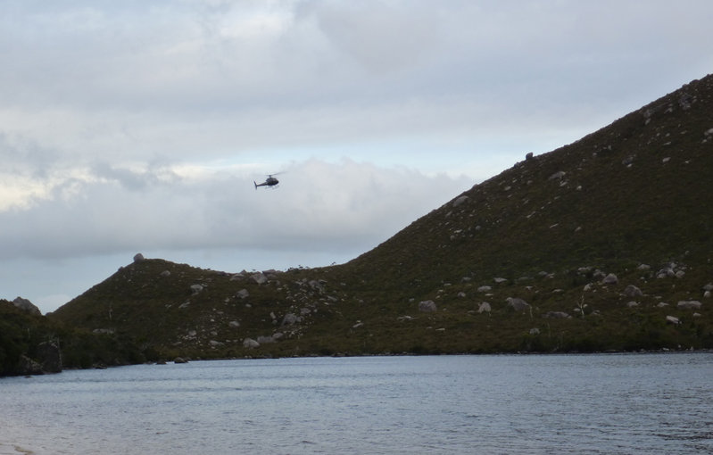 chopper3.jpg