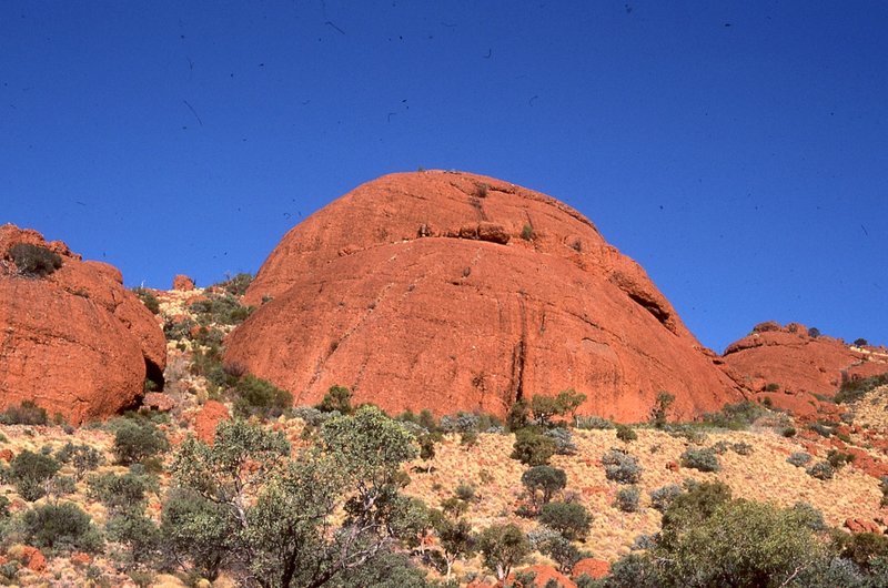 img384.jpg