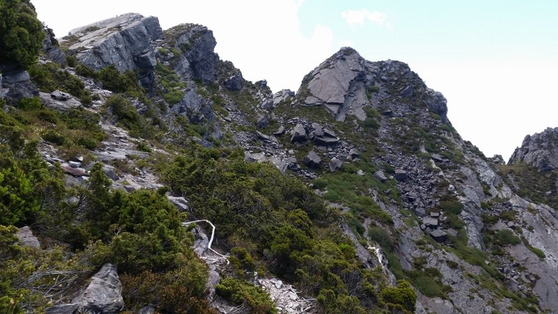 Slippery Mt Murchison track (1024x576).jpg